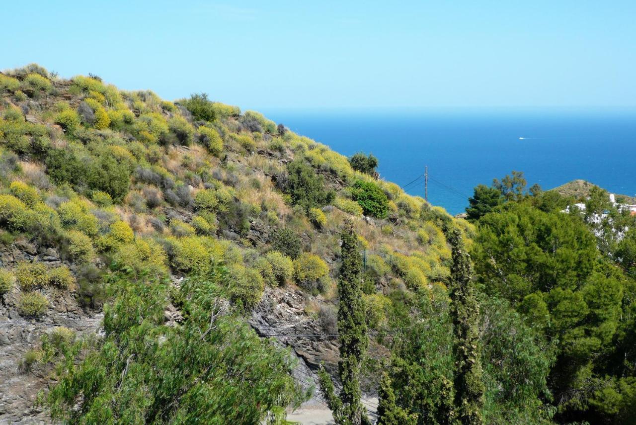 House With Terrace, Amazing Views And Private Shared Pool Vila Mojácar Exterior foto