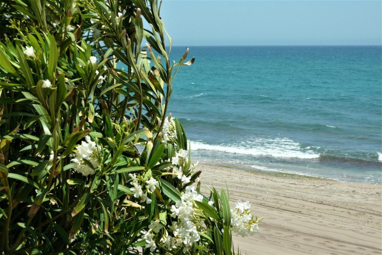 House With Terrace, Amazing Views And Private Shared Pool Vila Mojácar Exterior foto